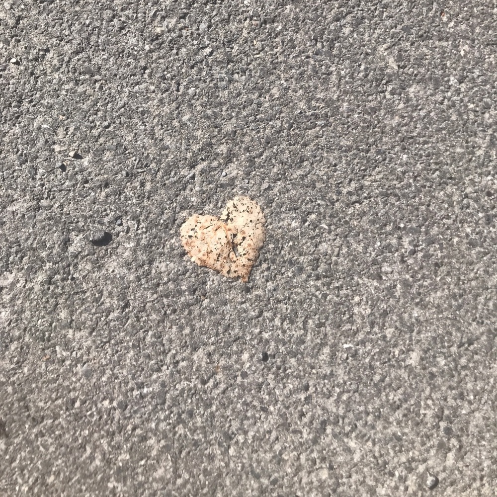 Crushed Leaf Heart